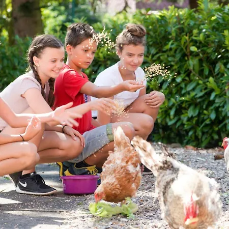 504 Stallgefluester * Grömitz