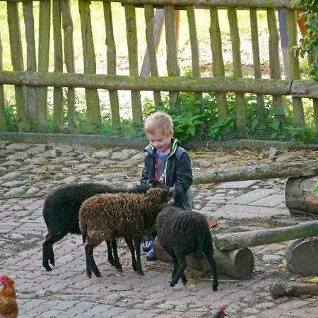 Appartement 504 Stallgefluester *