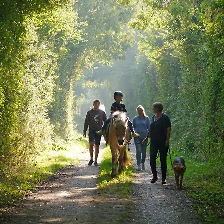 504 Stallgefluester *