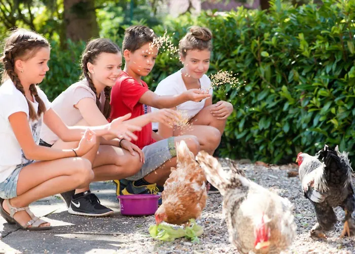 504 Stallgefluester * Grömitz