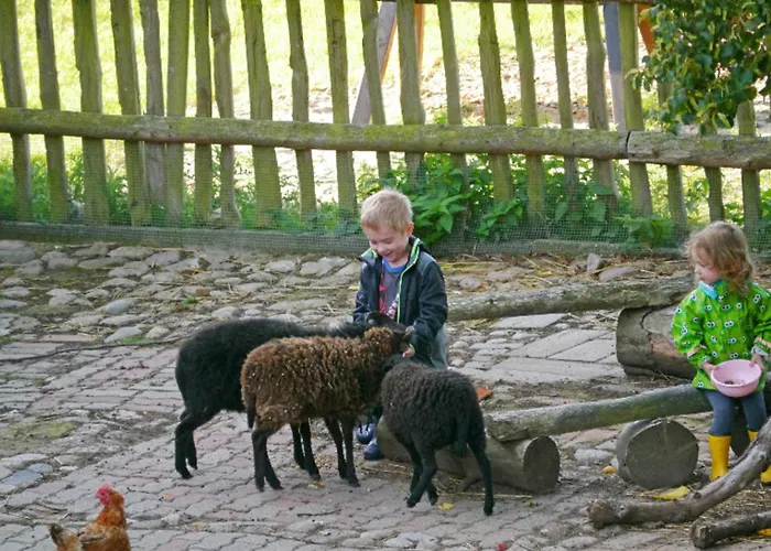 Appartement 504 Stallgefluester *