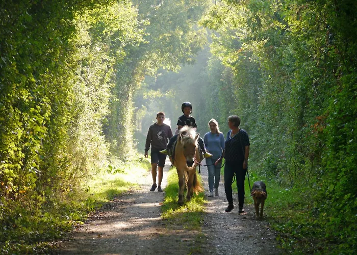 504 Stallgefluester *