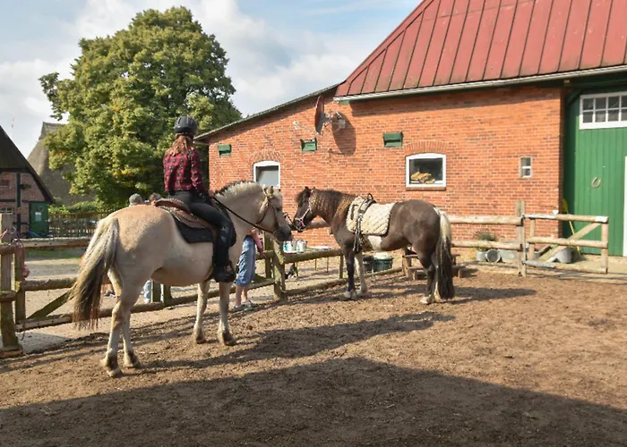 504 Stallgefluester Appartement