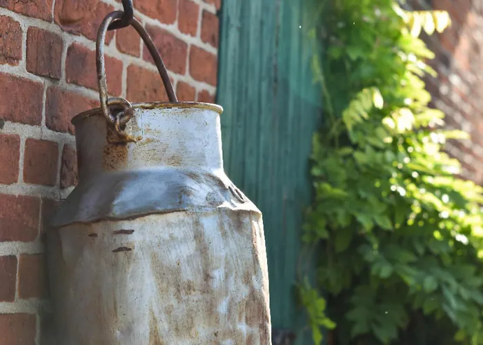 Appartement 504 Stallgefluester