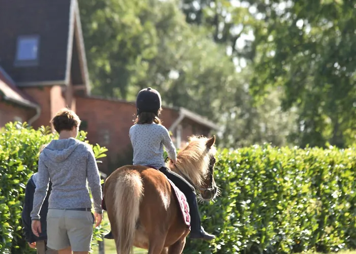 Appartement 504 Stallgefluester