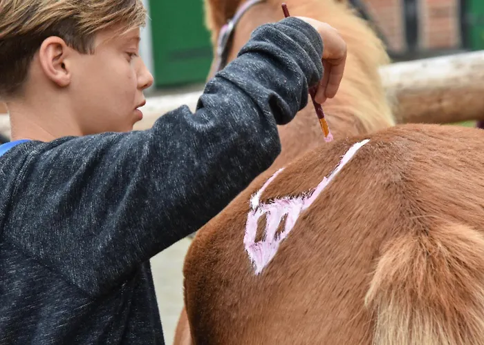 Appartement 504 Stallgefluester *